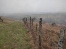 Moleron